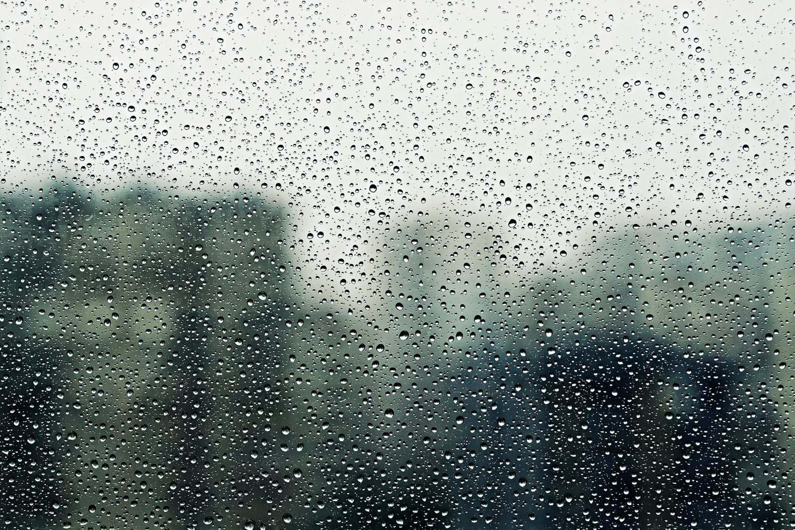 Raindrops on a window with trees blurred behind
